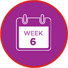 Week 6 icon.