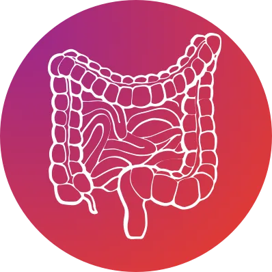 Intestinal lining.