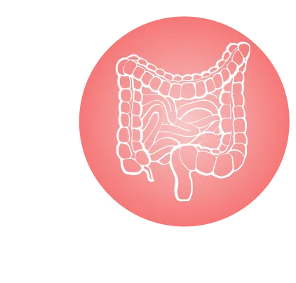 ENTYVIO fighting inflammation in the gut.