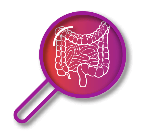 Gastrointestinal icon.