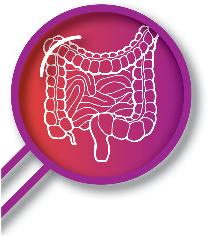 Gastrointestinal icon.